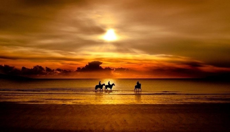 人社部:公费医疗范围缩减至个别省份