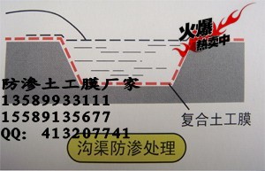 2009217215047674_conew2