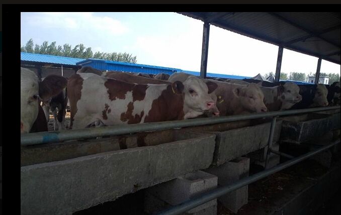 QQ图片20150318191158