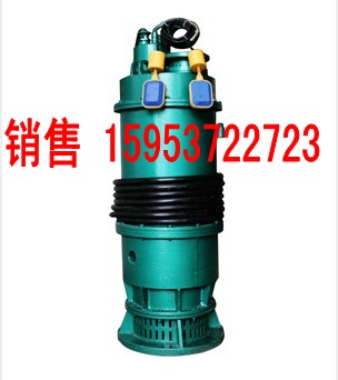 18.5KW排沙泵_conew1