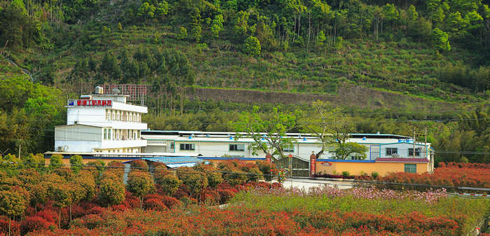 666_Q8_2773__conew1_