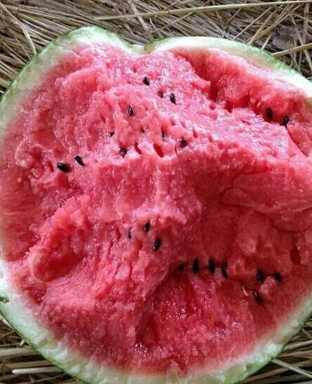 �������ϼ۸����ϲ������ϻ����������ϼ۸������������϶���Ǯ15266667755