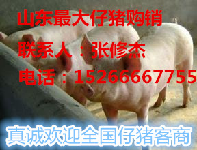 ���������۸������г������������������۸�ӱ����������ӱ�