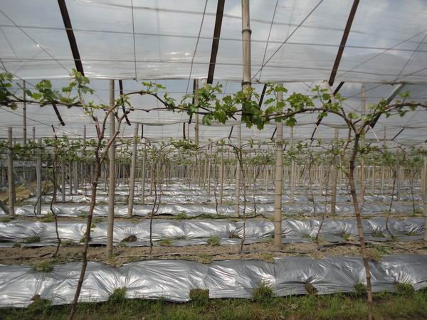 ũĤPEũĤֲũĤũõĤ