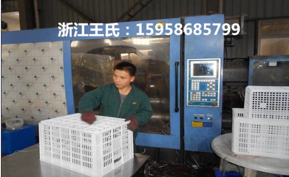 衢州塑料周转筐855筐厂家直销