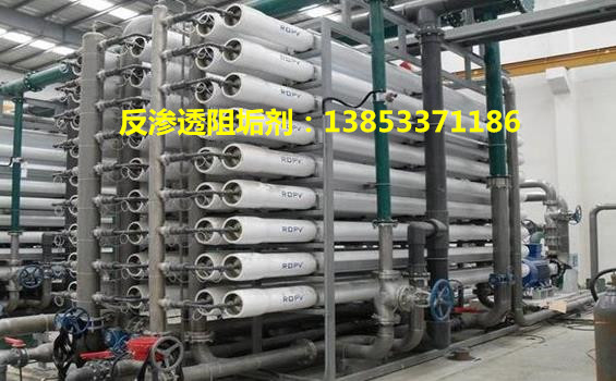 反渗透阻垢剂