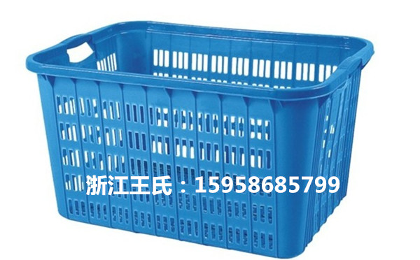 温州塑料筐、塑料蔬菜周转筐价格