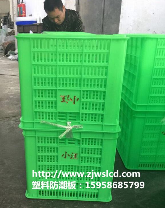 绍兴周转筐绿色塑料筐