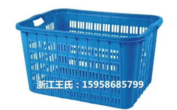 浙江塑料箩