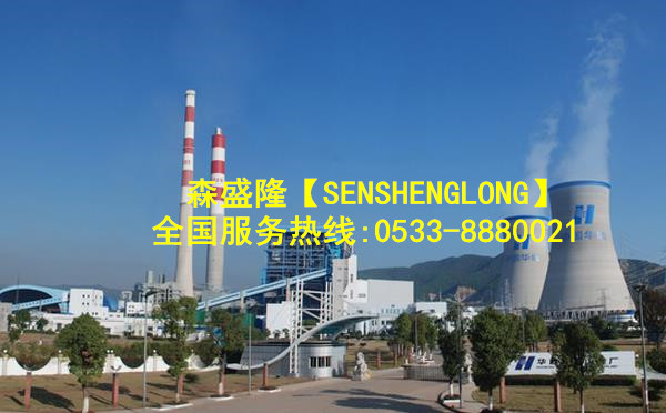 甘肃锅炉除垢剂高效除垢防丢水SZ811产品应用实例