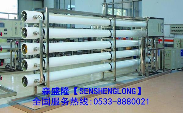 天津反渗透阻垢剂电厂SS815产品应用实例