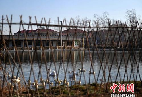 资料图:河北省安新县的一个村庄。中新社记者 翟羽佳 摄