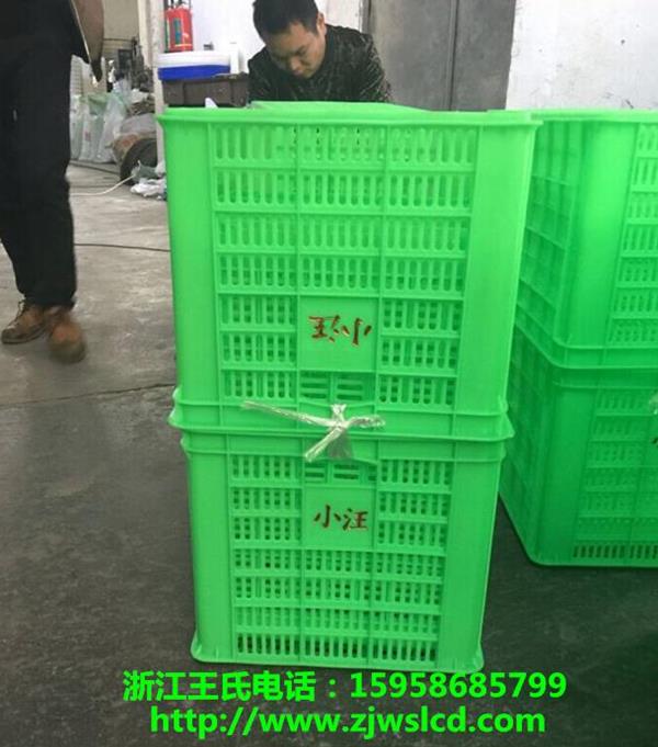 杭州蔬菜筐塑料