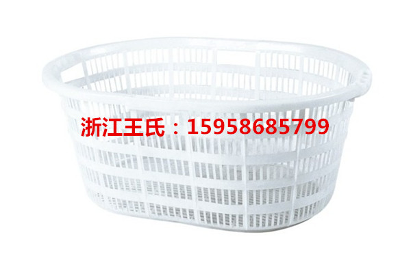 浙江王氏白色塑料箩价格