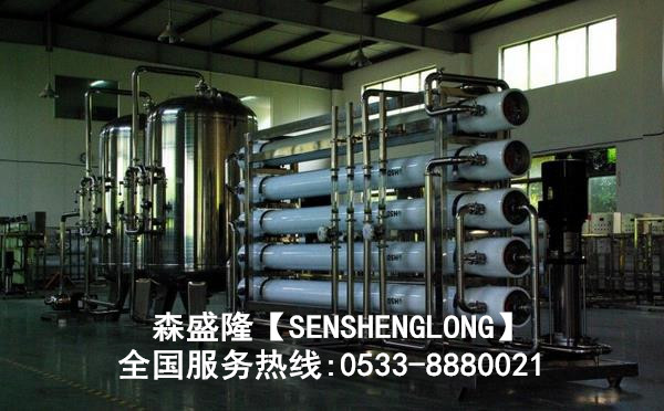 新疆8T反渗透阻垢剂应用实例