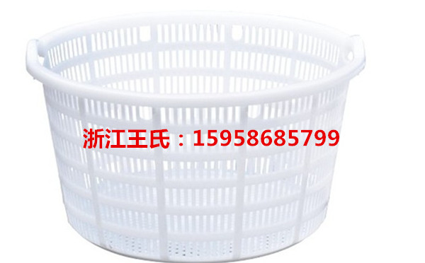 浙江塑料箩筐蓝色白色报价