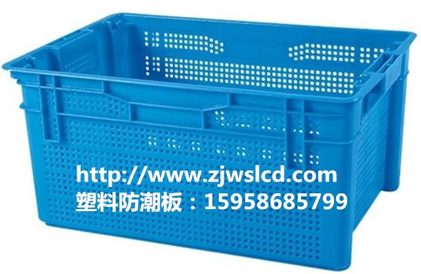 杭州塑料胶筐今日报价