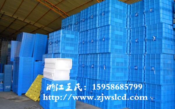 福建塑料周转筐蓝色现货