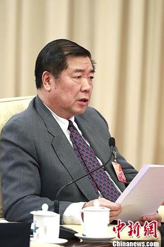 10月19日,中国共产党第十九次全国代表大会中央国家机关代表团讨论向中外记者开放。图为国家发改委主任何立峰参加讨论。中新社记者 盛佳鹏 摄