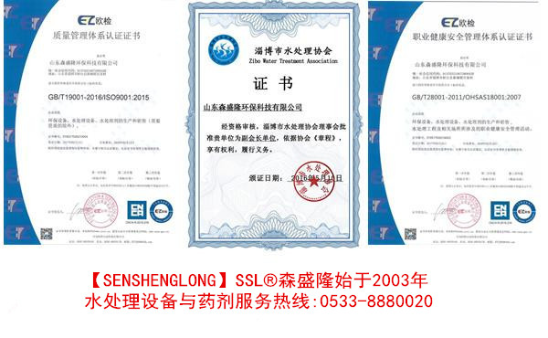 0.5T/H反渗透纯水设备森盛隆产水高效